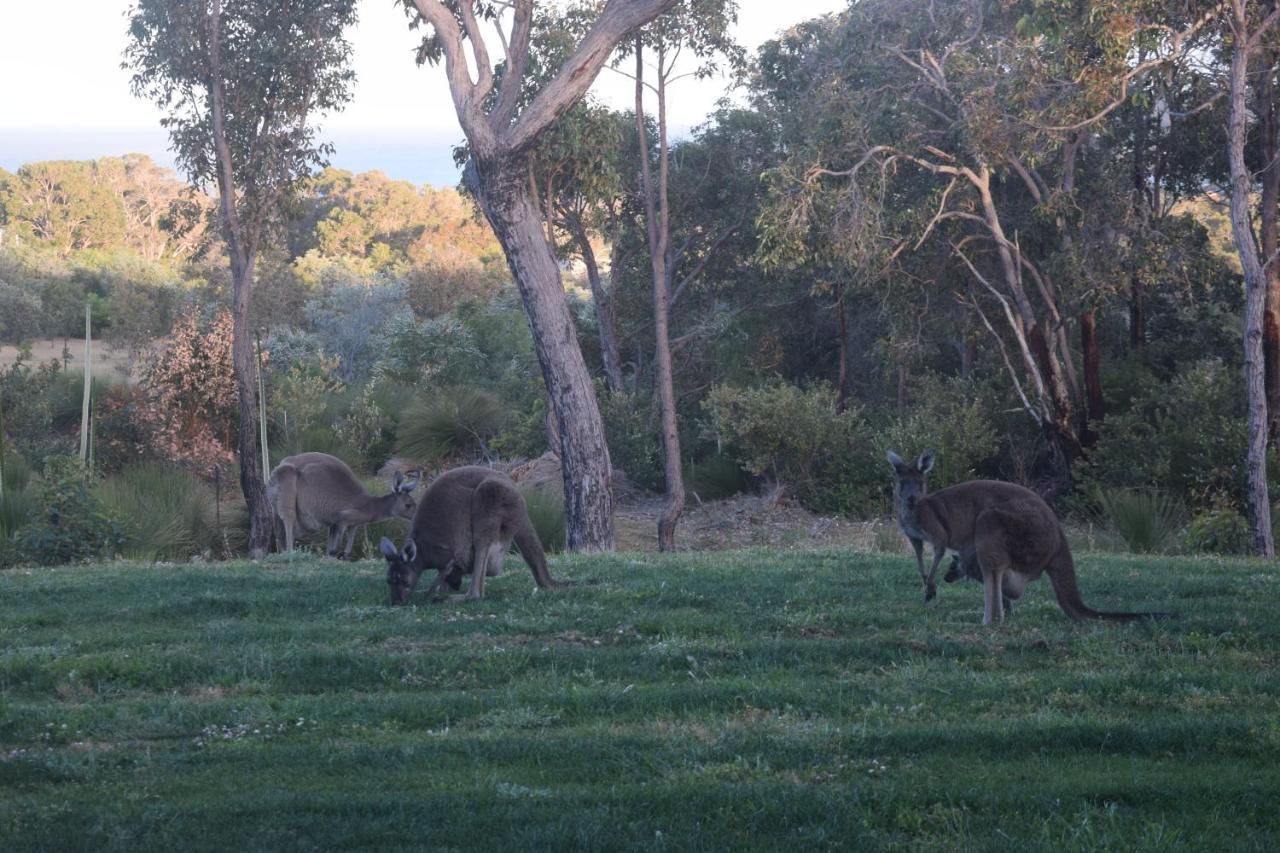 Eagle Bay House Bed and Breakfast Dunsborough Exteriör bild